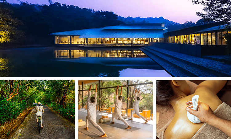 Dharana Luxury Wellness Tour