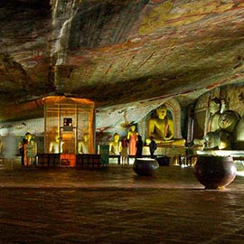 Experience Fam tour in Sri Lanka