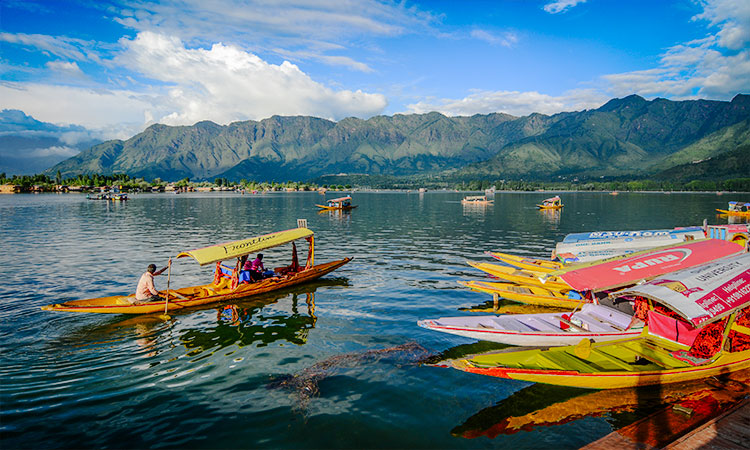 Kashmir Fam Tour