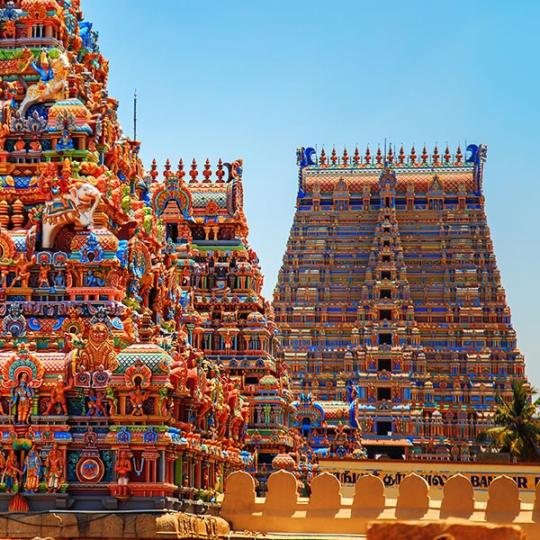 South India Fam Tour