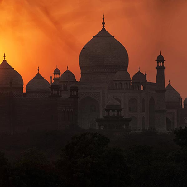 Christmas and new year India tour