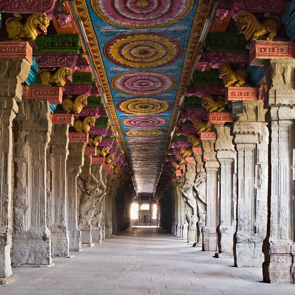 Tamilnadu Fam Trip