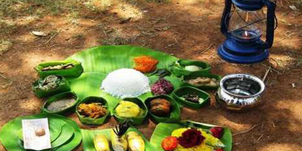 About the Festival About the Festival