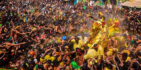 The Festivities