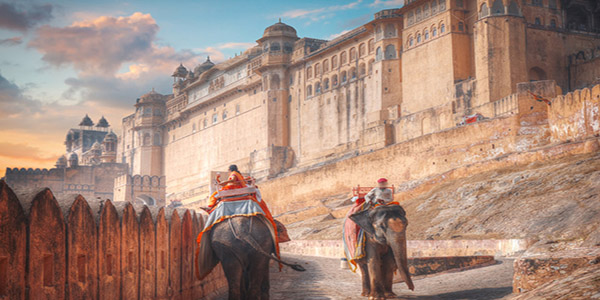 History of the Elephant festival History of the Elephant festival