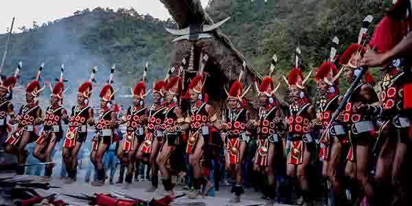About the festivities About the festivities