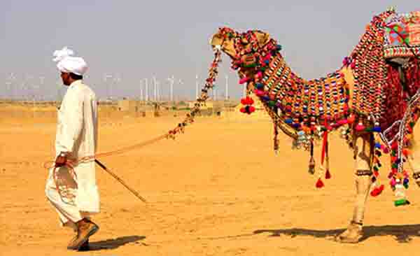 nagaur fair