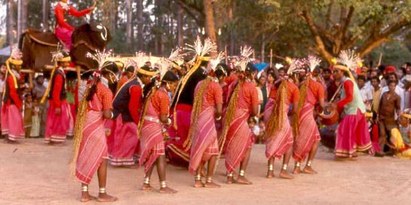 sheorinarayan fair