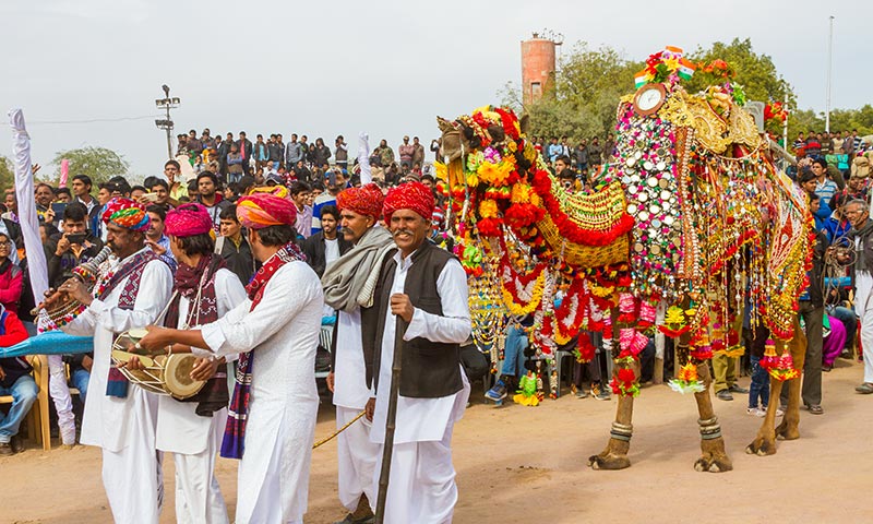 Bikaner Camel Festival Vacation Package Bikaner Camel Festival Vacation Package
