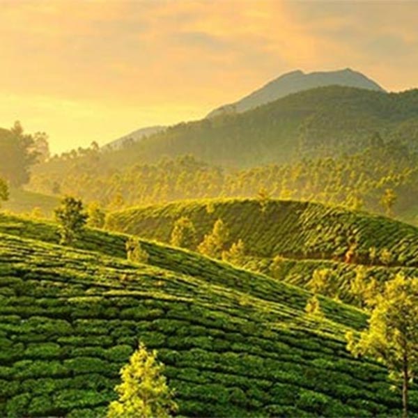 Kerala India Tour Package