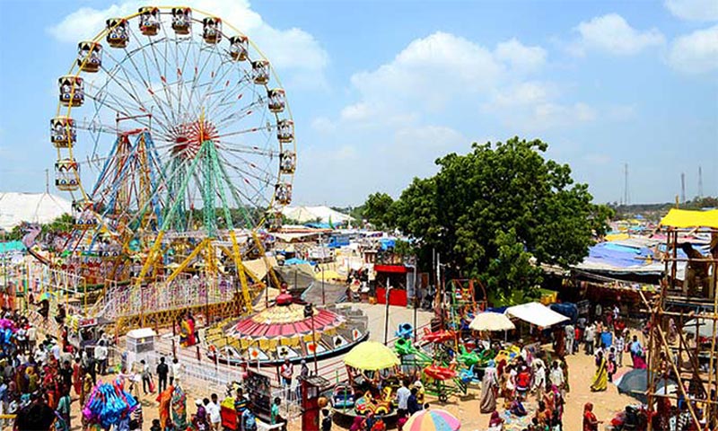 Tarnetar fair tour package
